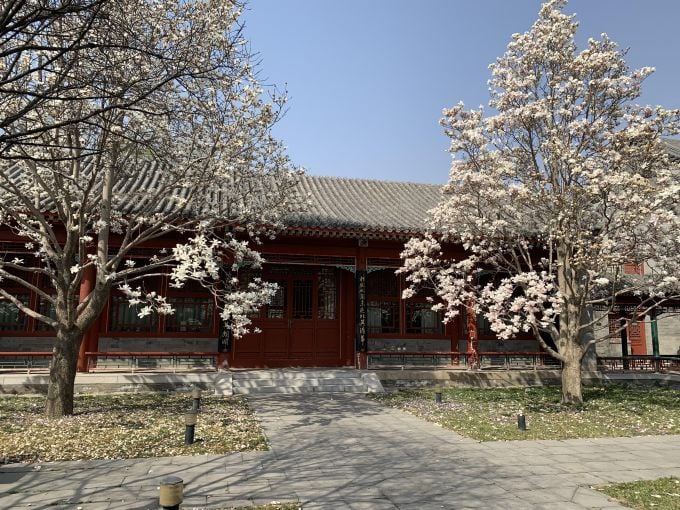 北京大学
